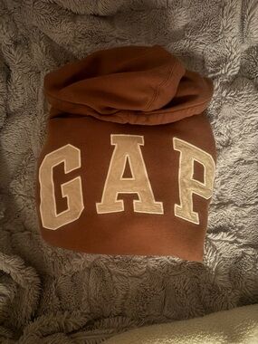 GAP Chest-Logo Hoodie in Brown and Cream
